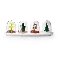 Qualy Design Boîte à épices Saisons - Lot De 4