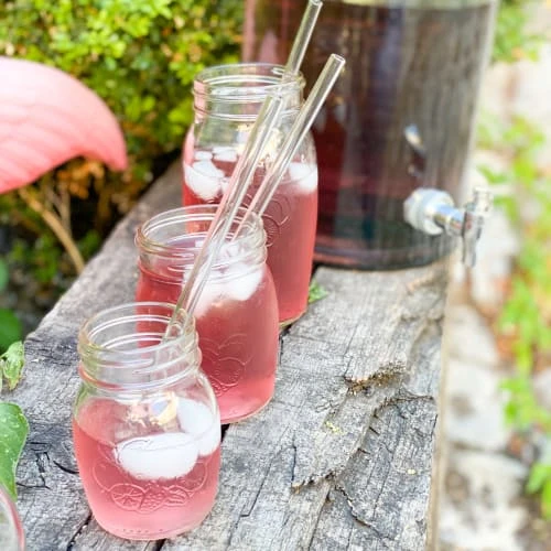 Little Pots Pailles En Verre Recyclé étui De 10 + Goupillon De Nettoyage – Image 5