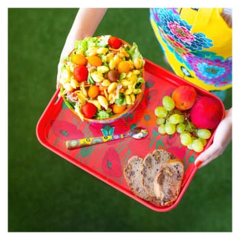 Pylones Plateau De Service 33x26x4,5cm – Image 3